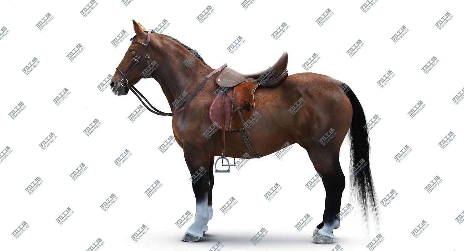 images/goods_img/2021040235/Saddled Horse/4.jpg